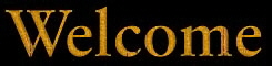 Welcome to ShowPro Photo Design